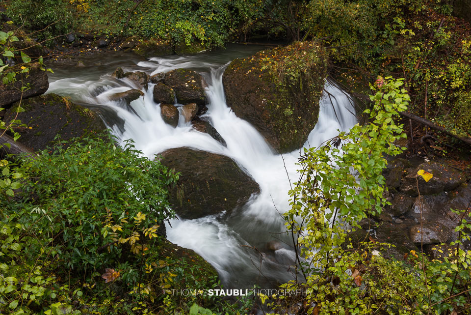 Herbstimpressionen an einem fliessender Bach