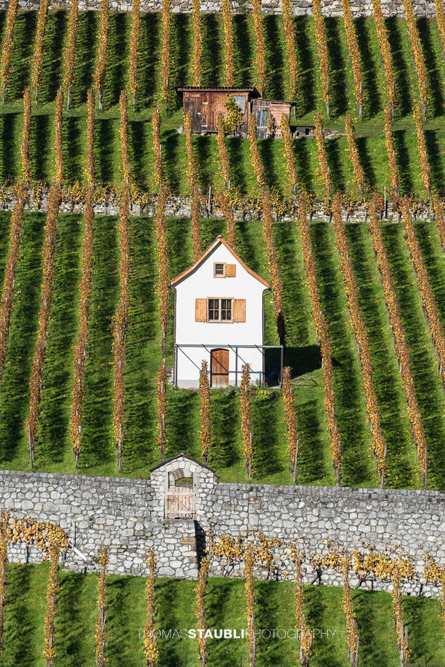 Reben und Rebhäuschen im herbstlichen Sarganserland