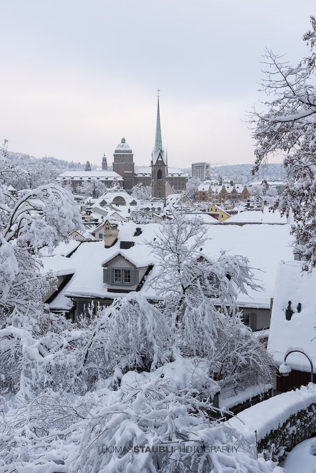 Zürich im Winter