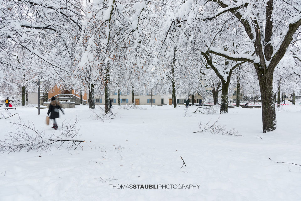 Der Lindenhof im Winter
