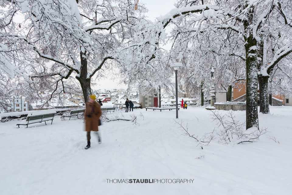 Der Lindenhof im Winter