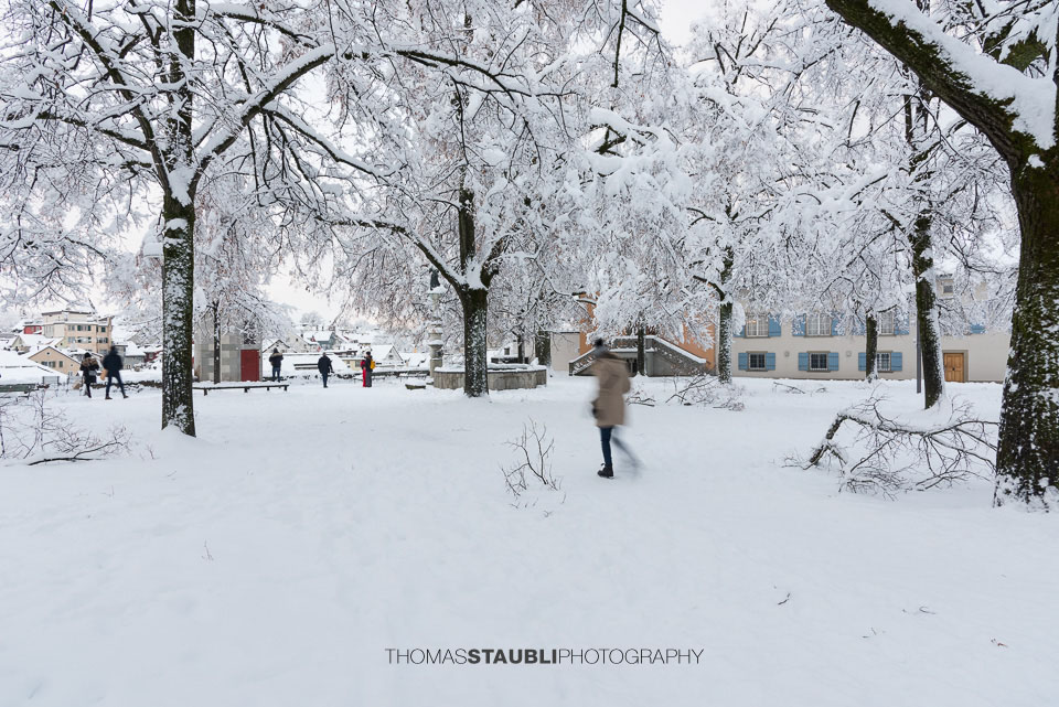 Der Lindenhof im Winter