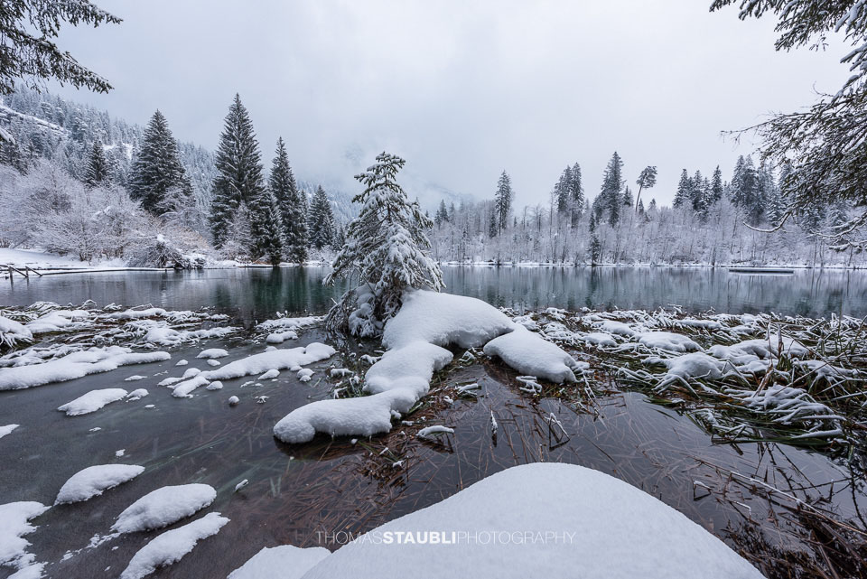 Winter am Crestasee