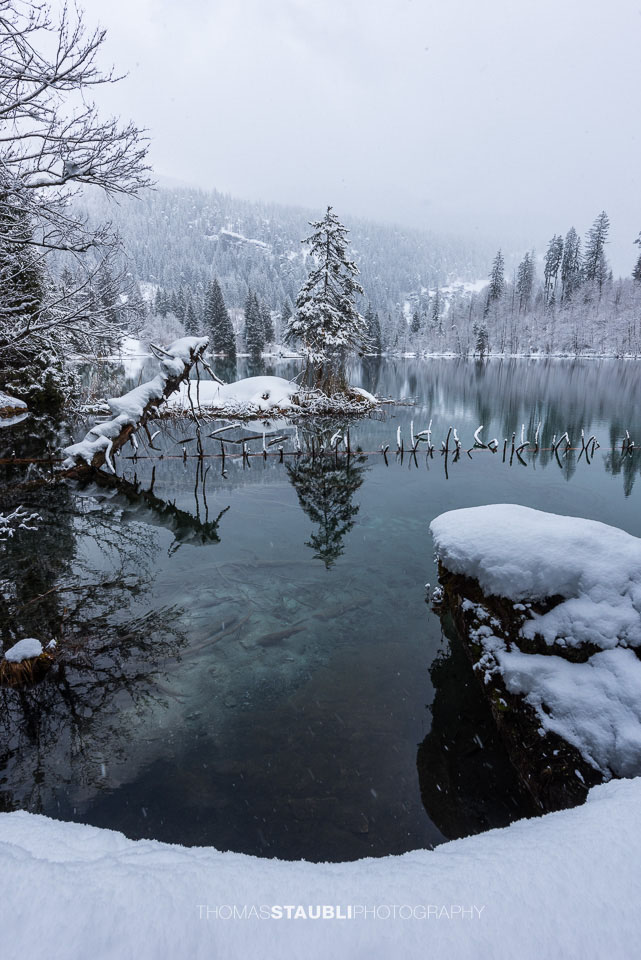 Winter am Crestasee