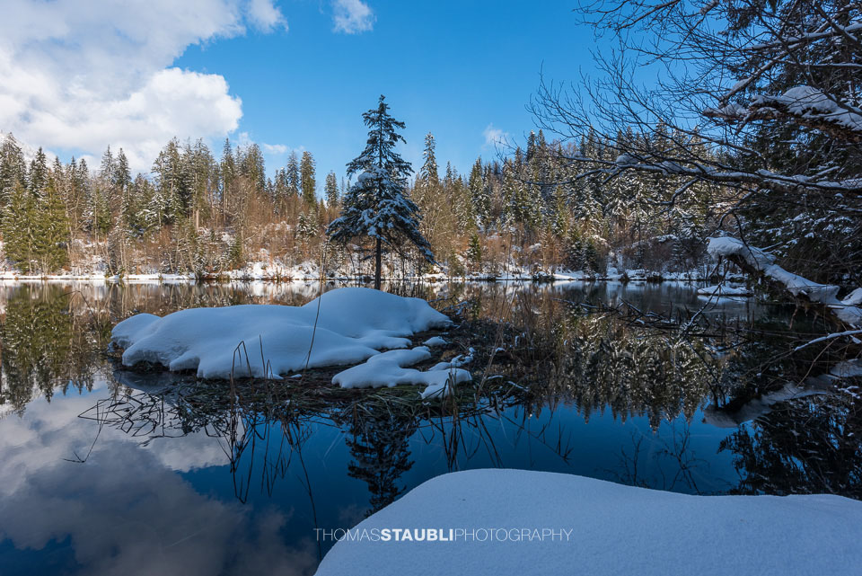 Winter am Crestasee