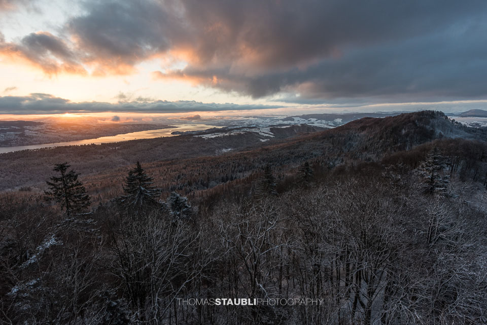 Blick vom Aussichtsturm Albis-Hochwacht