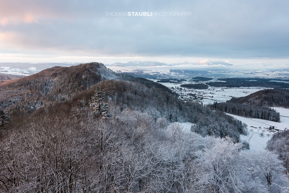 Blick vom Aussichtsturm Albis-Hochwacht