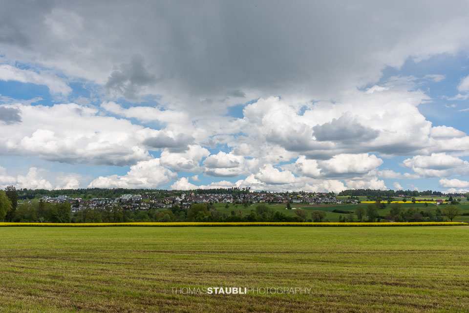 Wolkenhimmel und gelb blühende Rapsfelder in Oberlunkhofen im Reusstal