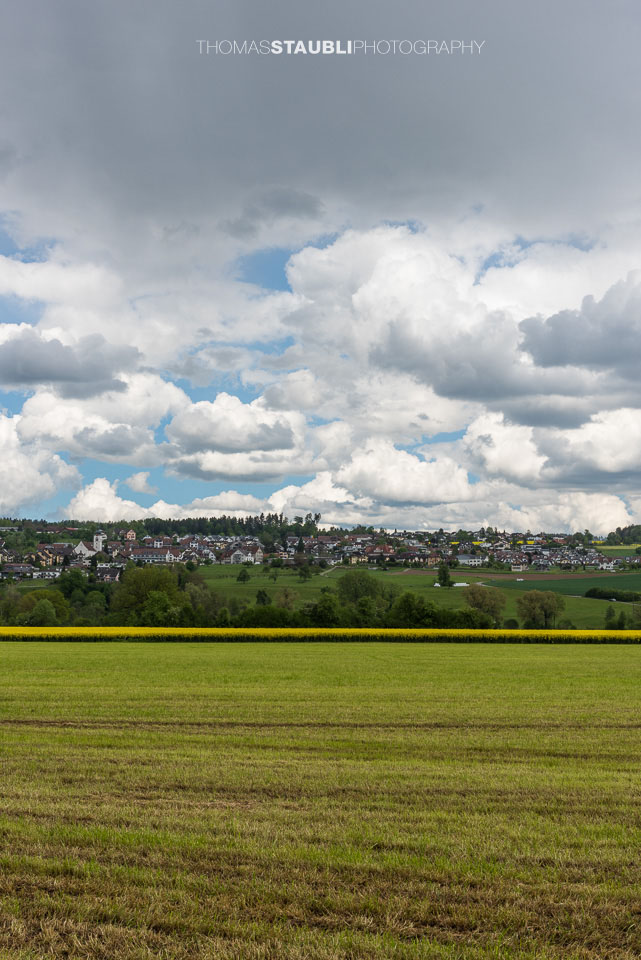 Wolkenhimmel und gelb blühende Rapsfelder in Oberlunkhofen im Reusstal