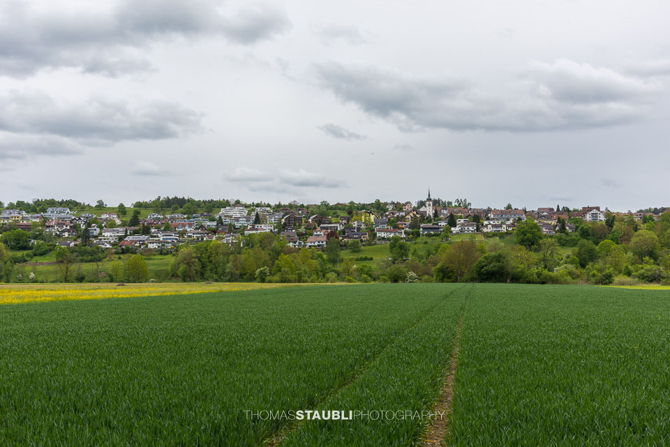 Landwirtschaft im Reusstal
