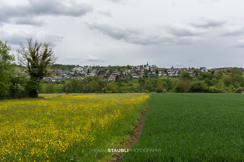 Landwirtschaft im Reusstal