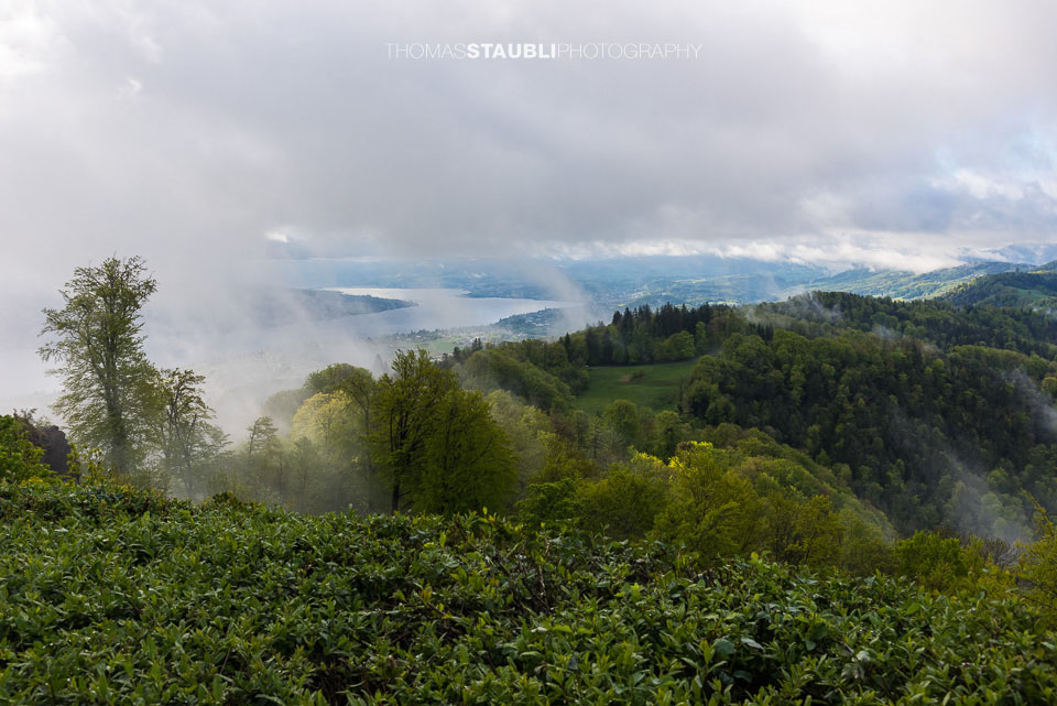Blick vom Uetliberg