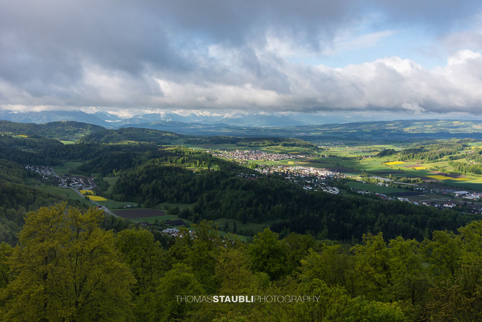 Blick vom Uetliberg