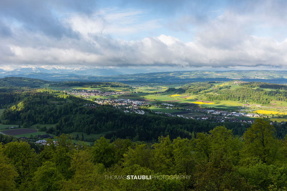 Blick vom Uetliberg