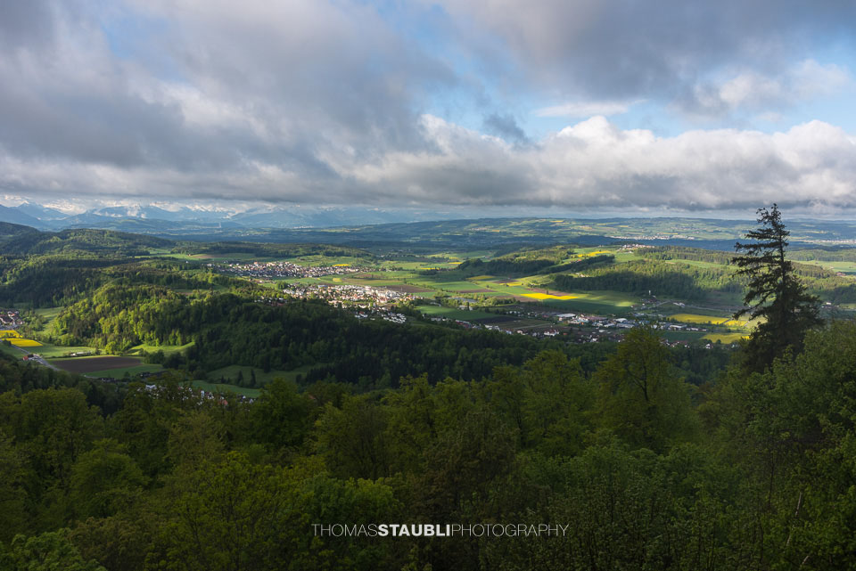 Blick vom Uetliberg