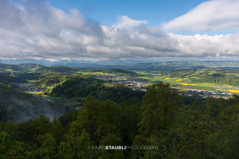 Blick vom Uetliberg
