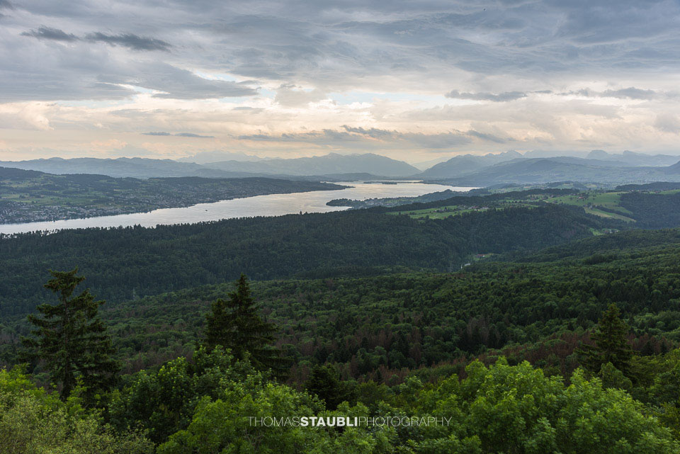 Blick vom Aussichtsturm Albis-Hochwacht