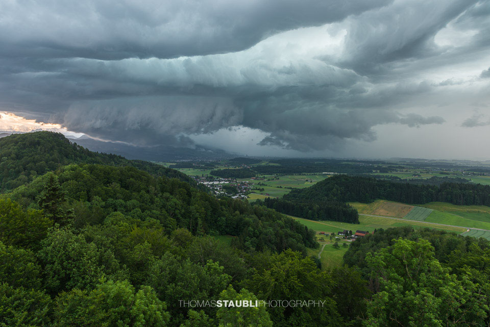 Blick vom Aussichtsturm Albis-Hochwacht