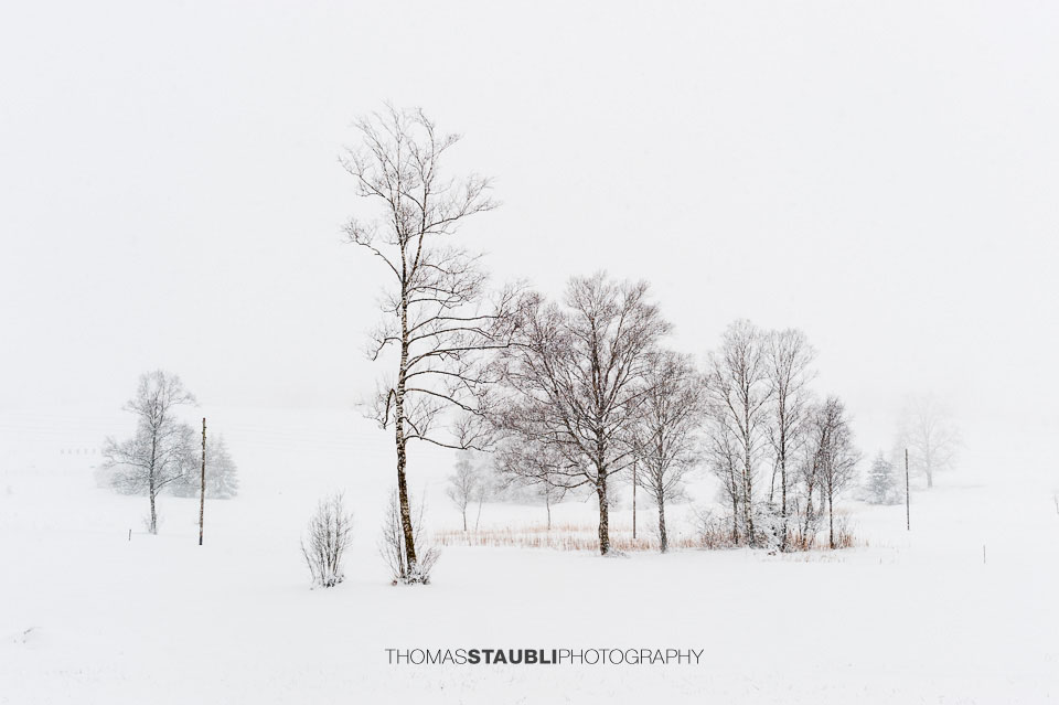 Winterimpressionen auf dem Hirzel