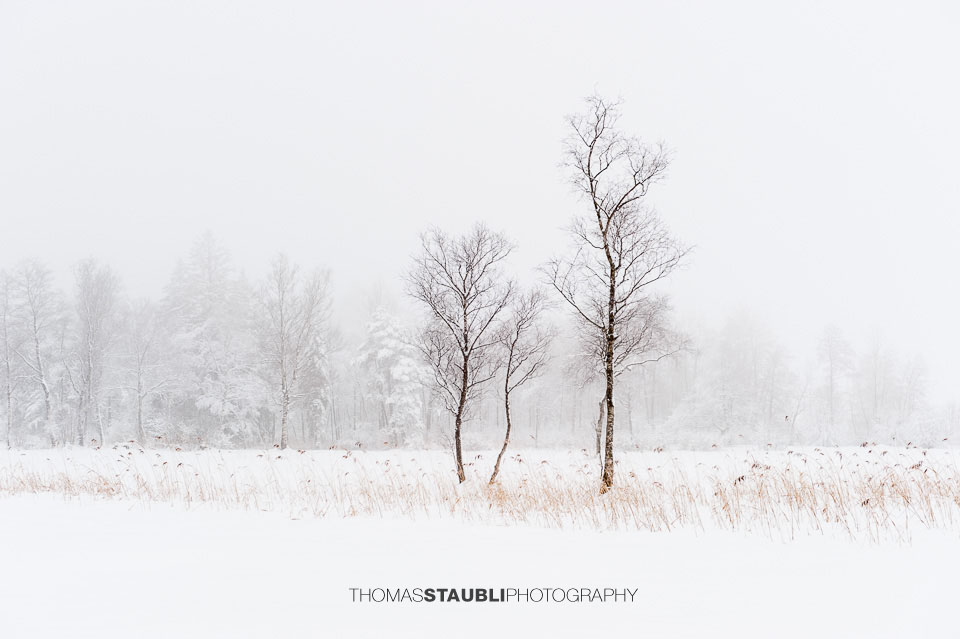 Winterimpressionen auf dem Hirzel