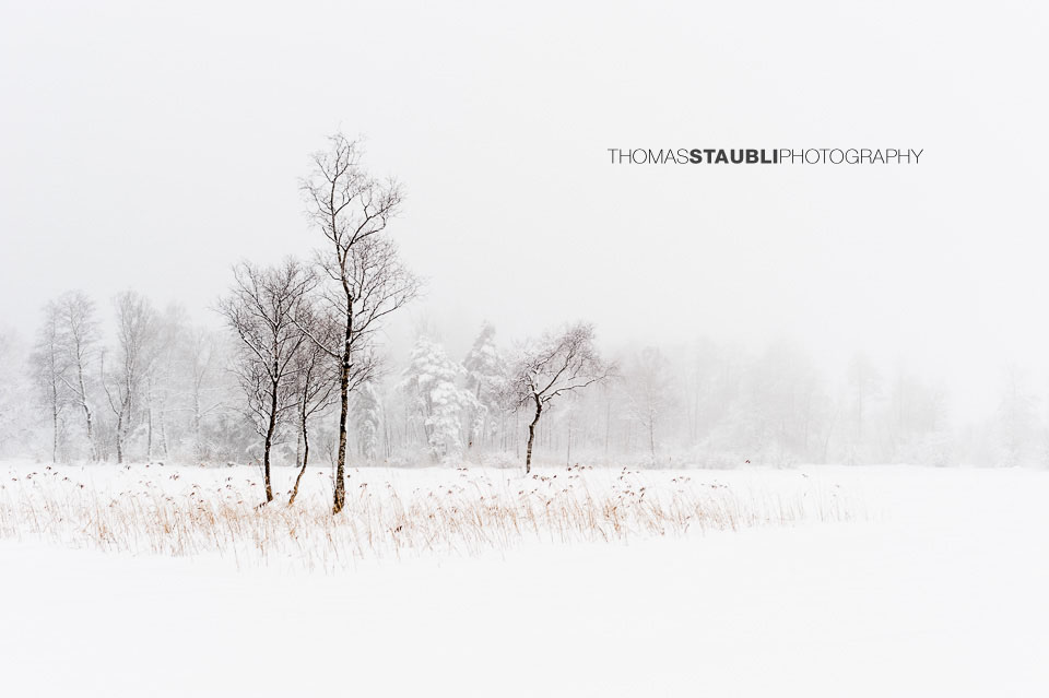 Winterimpressionen auf dem Hirzel