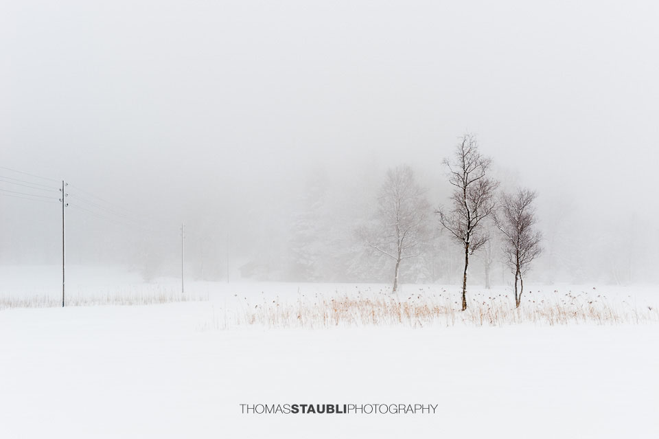 Winterimpressionen auf dem Hirzel