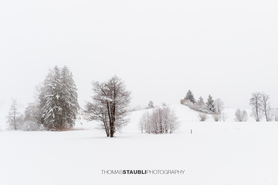 Winterimpressionen auf dem Hirzel