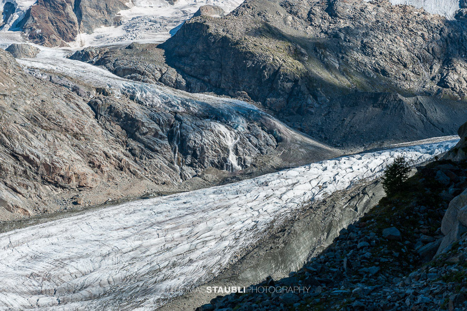 Vadret da Morteratsch