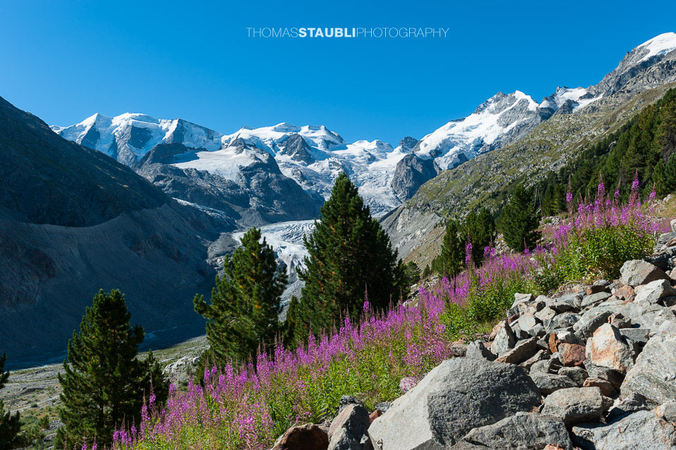 Blick zur Berninagruppe