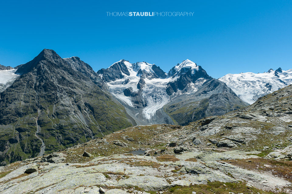 Piz Tschierva, Piz Morteratsch, Piz Bernina, Piz Scerscen, Roseg Pitschen, Piz Roseg, Schneekuppe