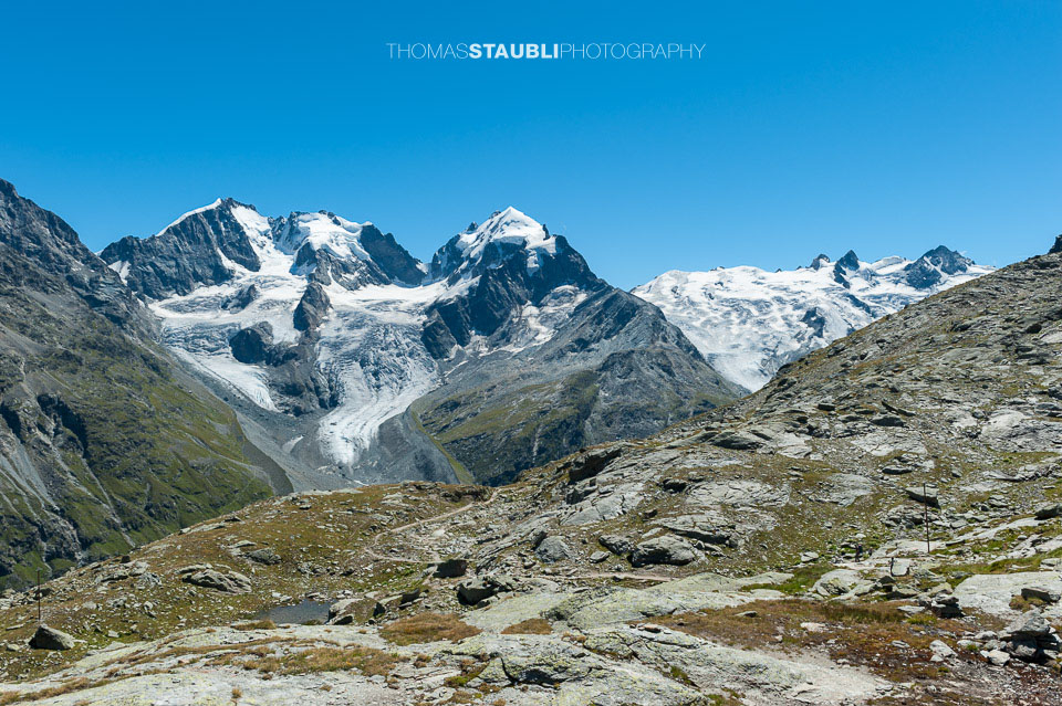 Piz Bernina, Piz Scerscen, Roseg Pitschen, Piz Roseg, Schneekuppe