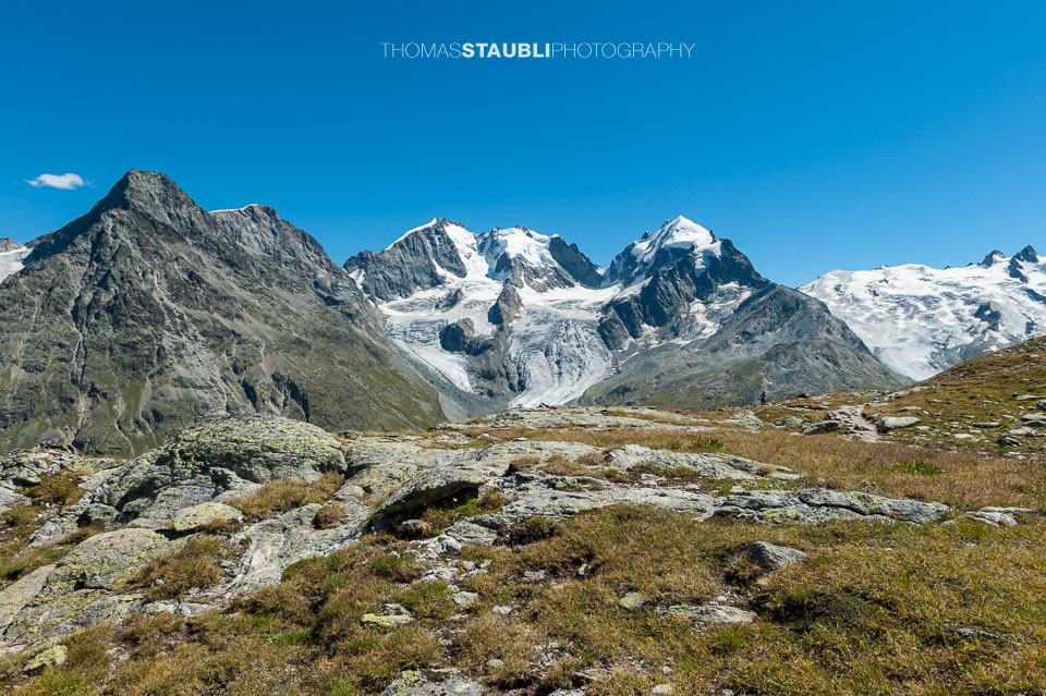 Piz Tschierva, Piz Morteratsch, Piz Bernina, Piz Scerscen, Roseg Pitschen, Piz Roseg, Schneekuppe
