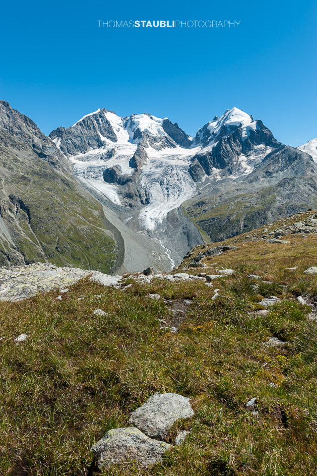 Vadret da Tschierva 2012