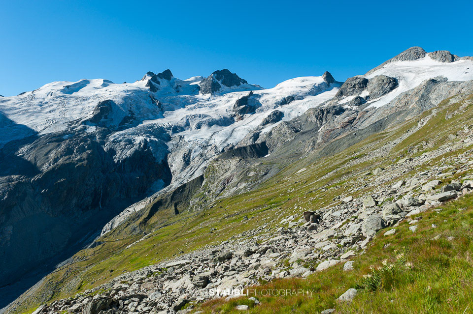 Blick zum Roseggletscher