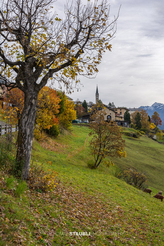 Guarda im Herbst