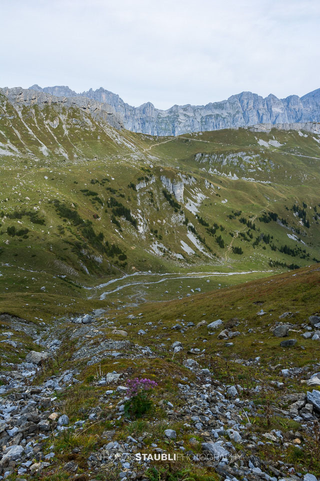 Blick zum Fisetenpass