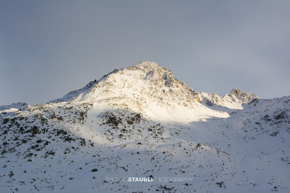 schneebedecktes Seehorn