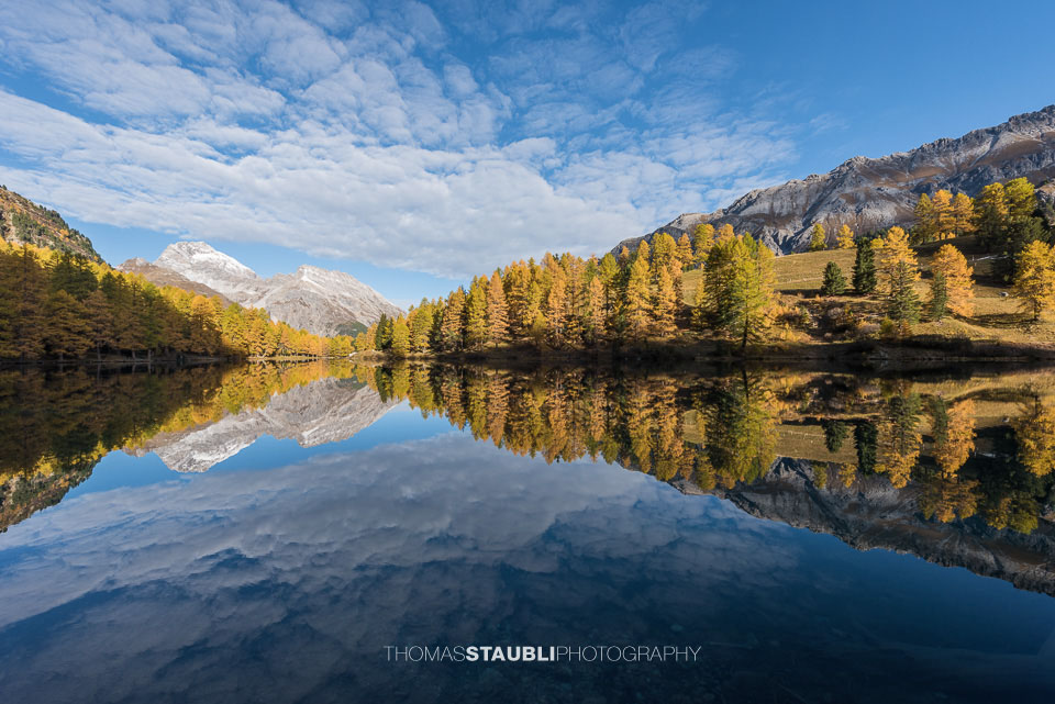 Goldener Herbst am Lai da Palpuogna