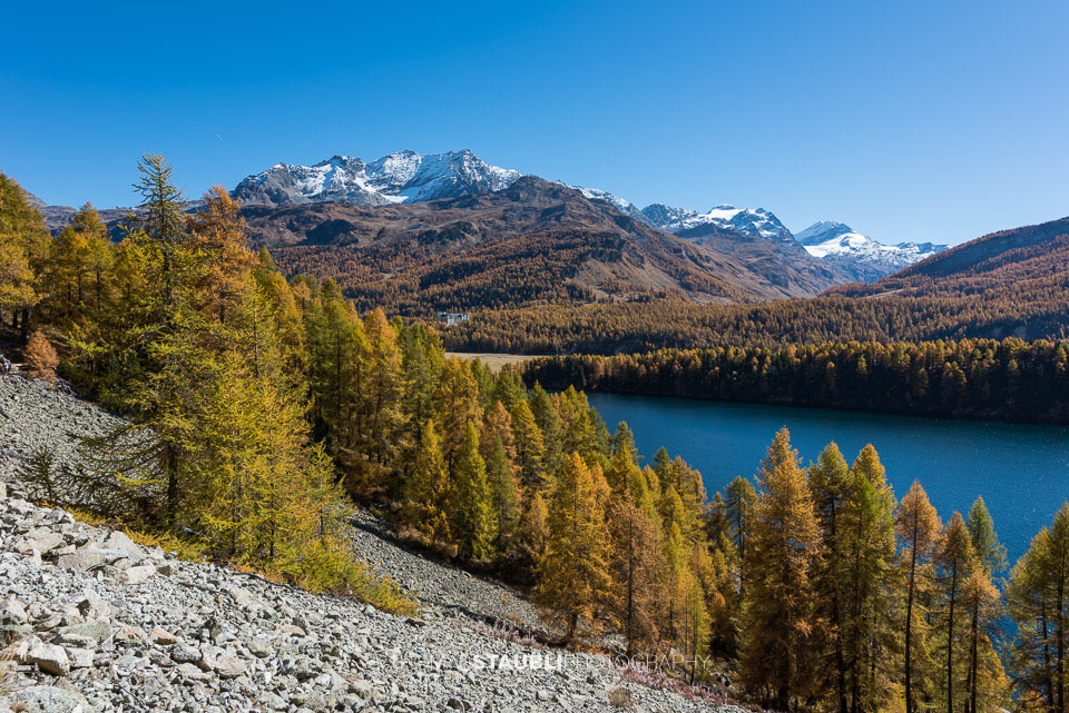 Herbst im Oberengadin