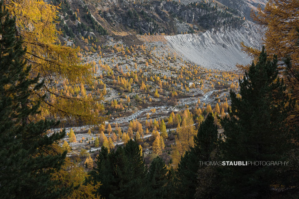 Herbst im Val Morteratsch