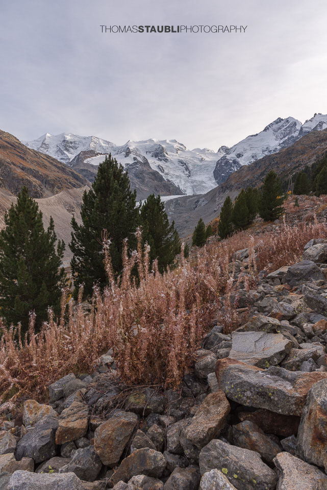 Herbst im Val Morteratsch