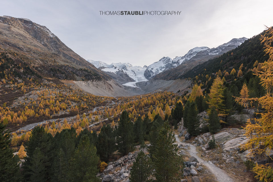Herbst im Val Morteratsch