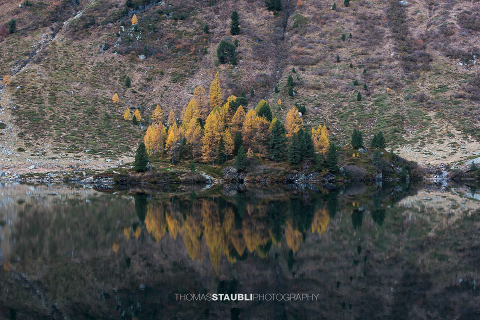 Herbst am Lägh da Cavloc