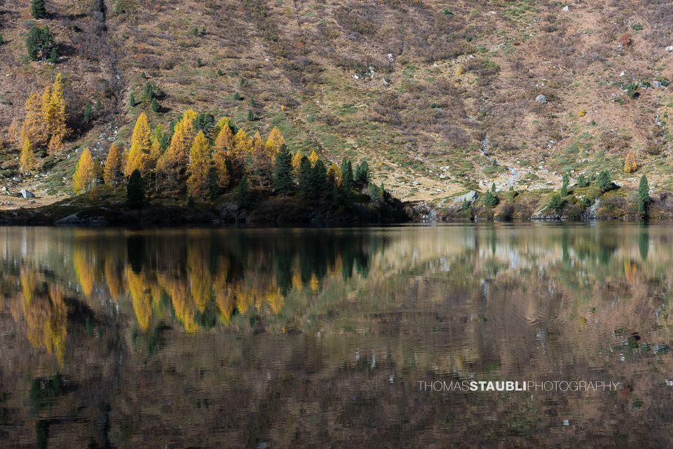 Herbst am Lägh da Cavloc