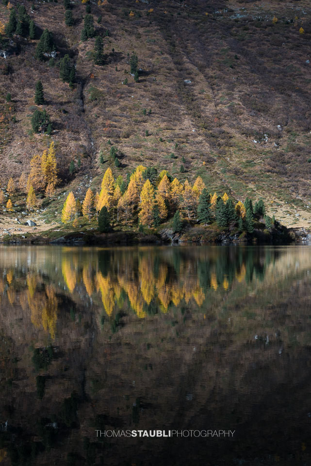 Herbst am Lägh da Cavloc