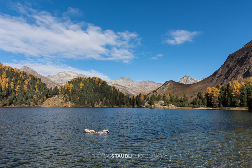 Herbst am Lägh da Cavloc