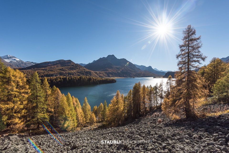 Blick von der Via Engiadina über den Silsersee