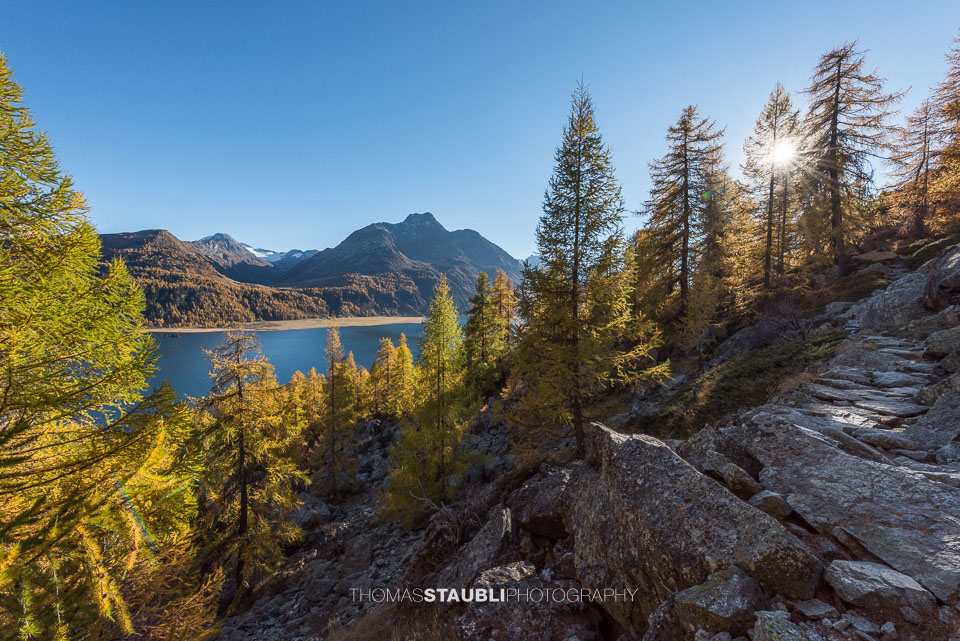 Blick von der Via Engiadina über den Silsersee