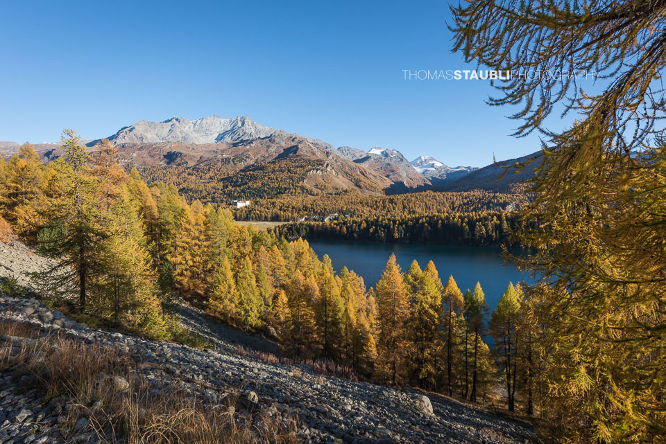 Blick von der Via Engiadina über den Silsersee