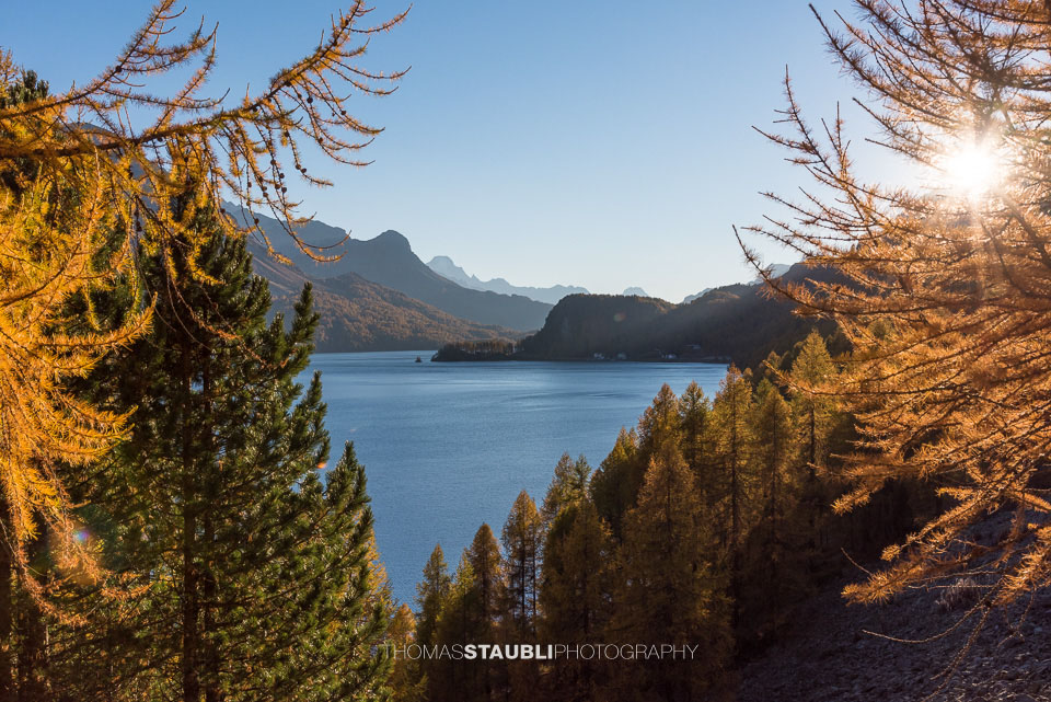 Blick von der Via Engiadina über den Silsersee